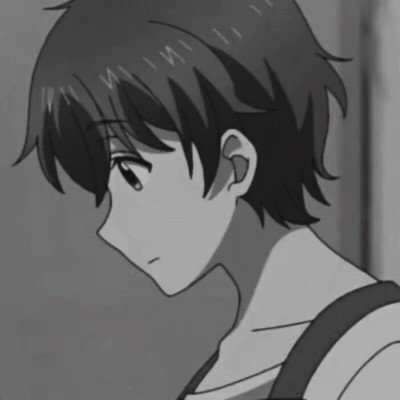 小猫会自己打开小床晒太阳